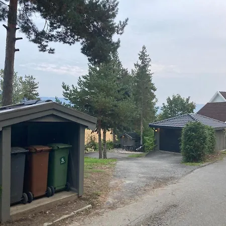 Ringasen