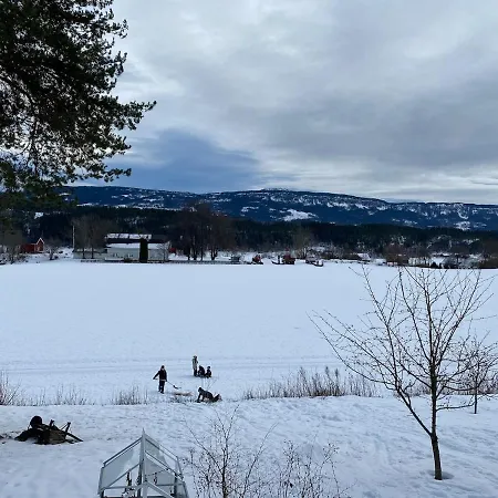Ringasen Honefoss