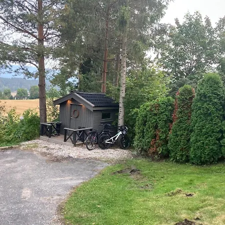 Ringasen