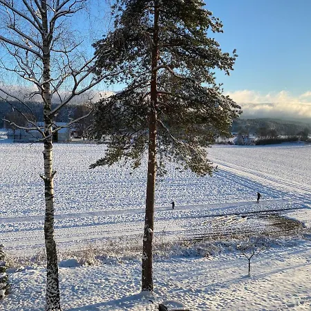 بيت للعطل Ringasen Berg (Ringerike)