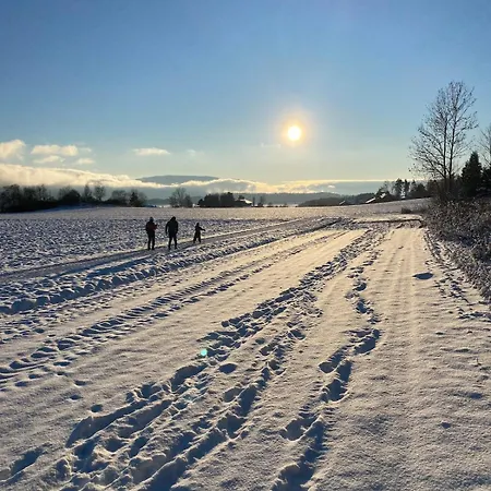 Ringasen * Berg (Ringerike)