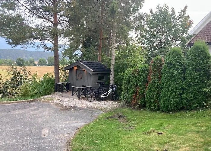 Ringasen