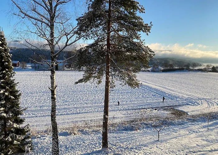 Dom wakacyjny Ringasen Berg (Ringerike)