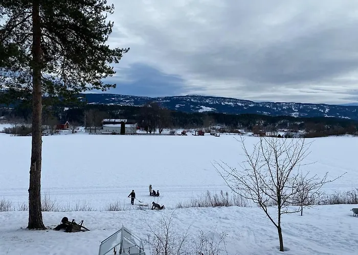 Ringåsen Berg (Ringerike)