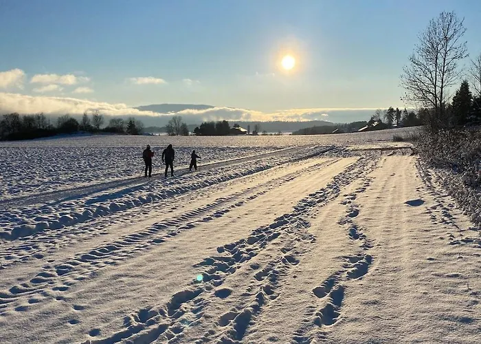 Ringåsen * Berg (Ringerike)